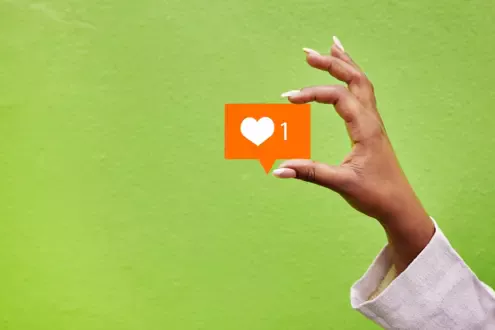 Seguidores Instagram Barato